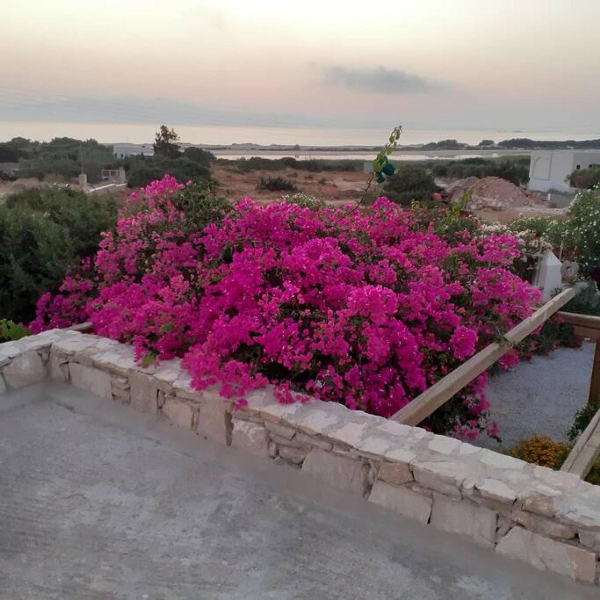 Naxos Alyko Traditional Vacation House "Mitatos" Aliko Beach Exterior foto